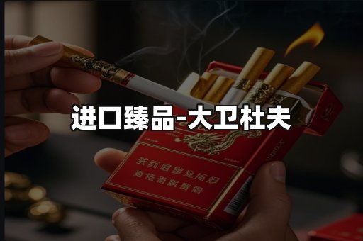 进口臻品